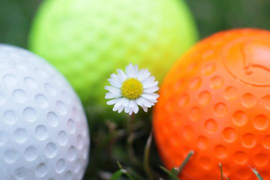 Swingolf Gut Waldshagen